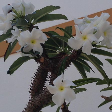 Habitacion Puerto Rico 푸에르토리코 외부 사진