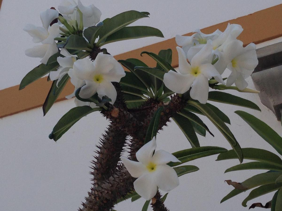 Habitacion Puerto Rico 푸에르토리코 외부 사진